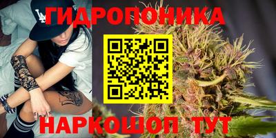эйфоретик Малгобек