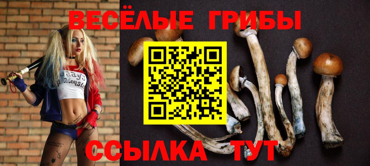 Галлюциногенные грибы прущие грибы  Вход с VPN  Ухта 